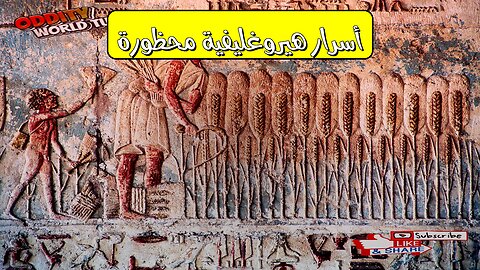 الكارثة الهيروغليفية: كشف أسرار محظورة ! #حضارة #مصر #غموض