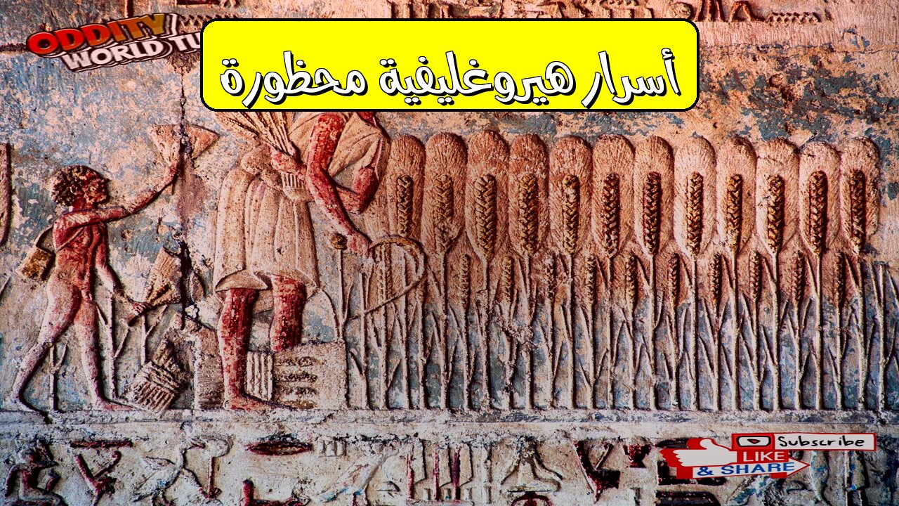 الكارثة الهيروغليفية: كشف أسرار محظورة ! #حضارة #مصر #غموض