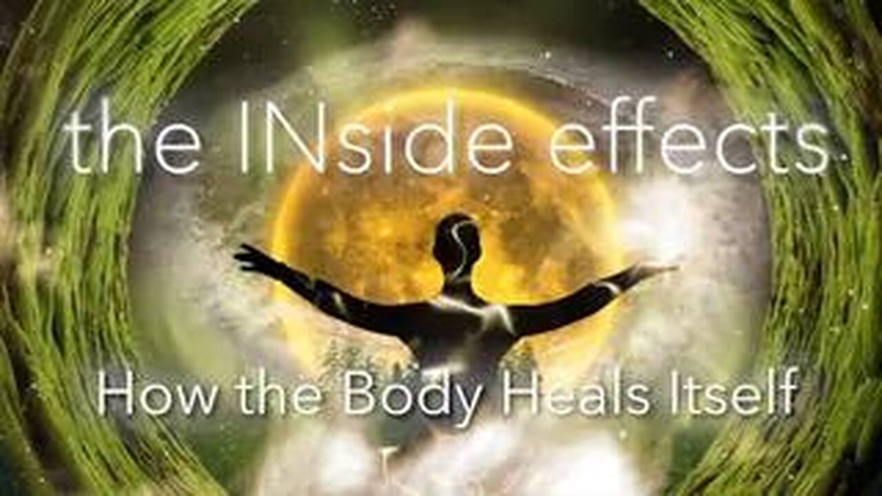 The INside Effects - How The Body Heals itself