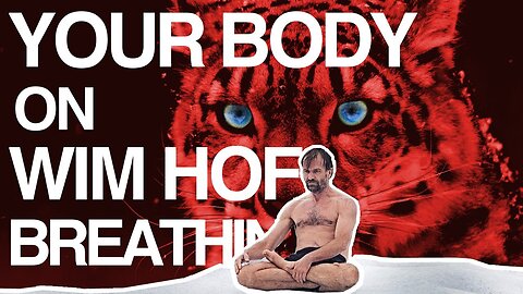 “Control Your Breath, Control Your Body – The Wim Hof Method Explained”