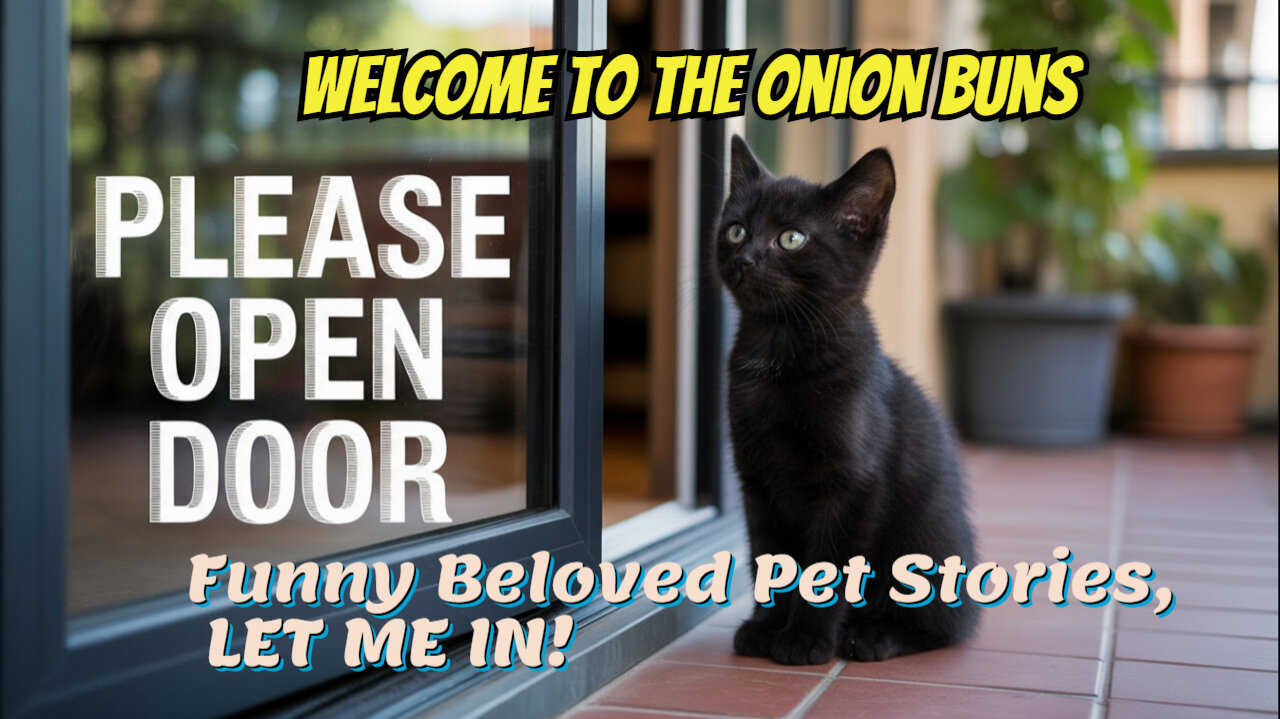 Funny Beloved Pet Stories, LET ME IN!
