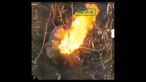 Russian Hog’s Breakfast Ends in Flames
