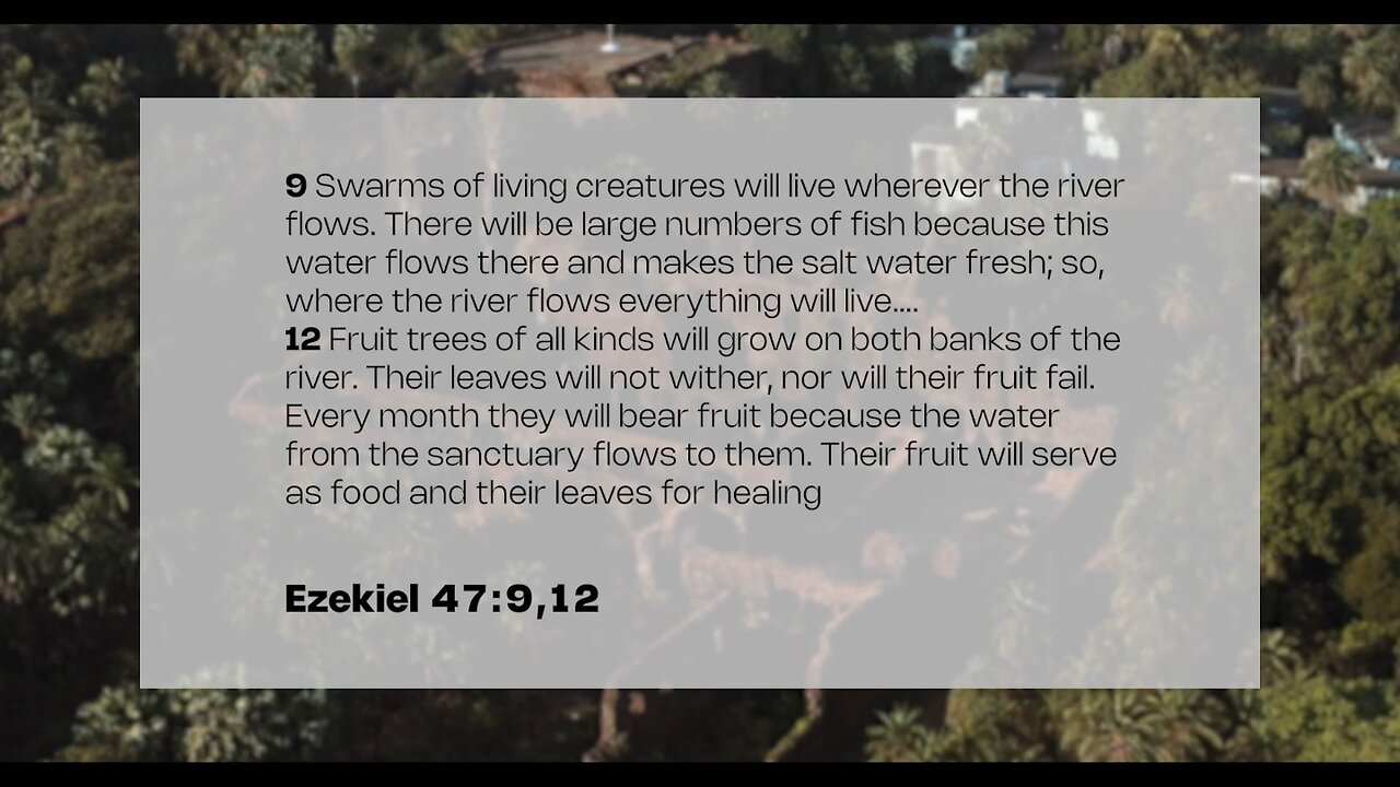 The Book of Ezekiel Session 5