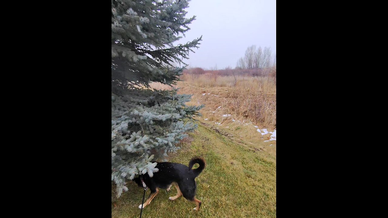 Fun times outside!!!