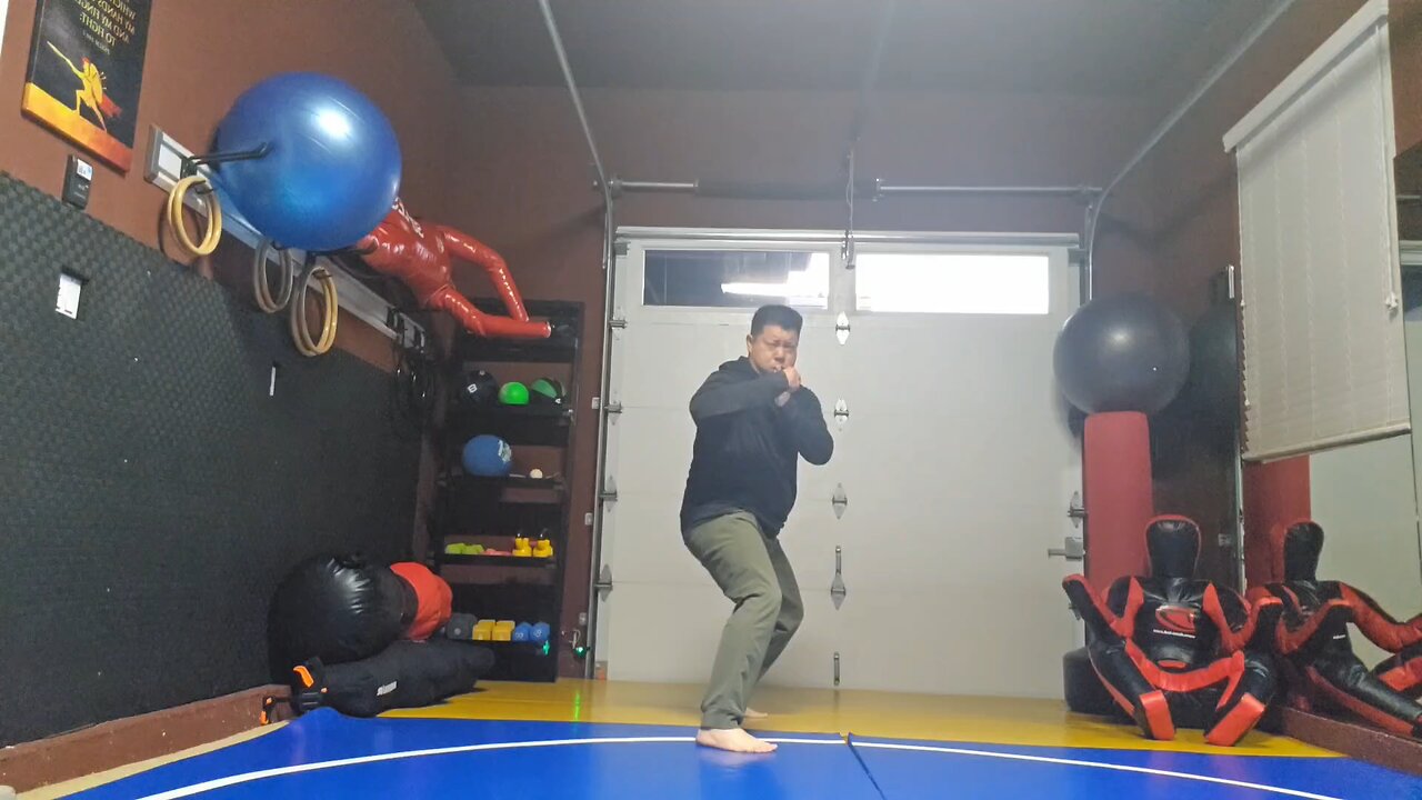 WTD Round Kick to Mantis Kick sequential