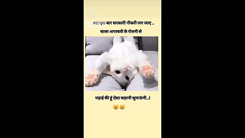 funny video