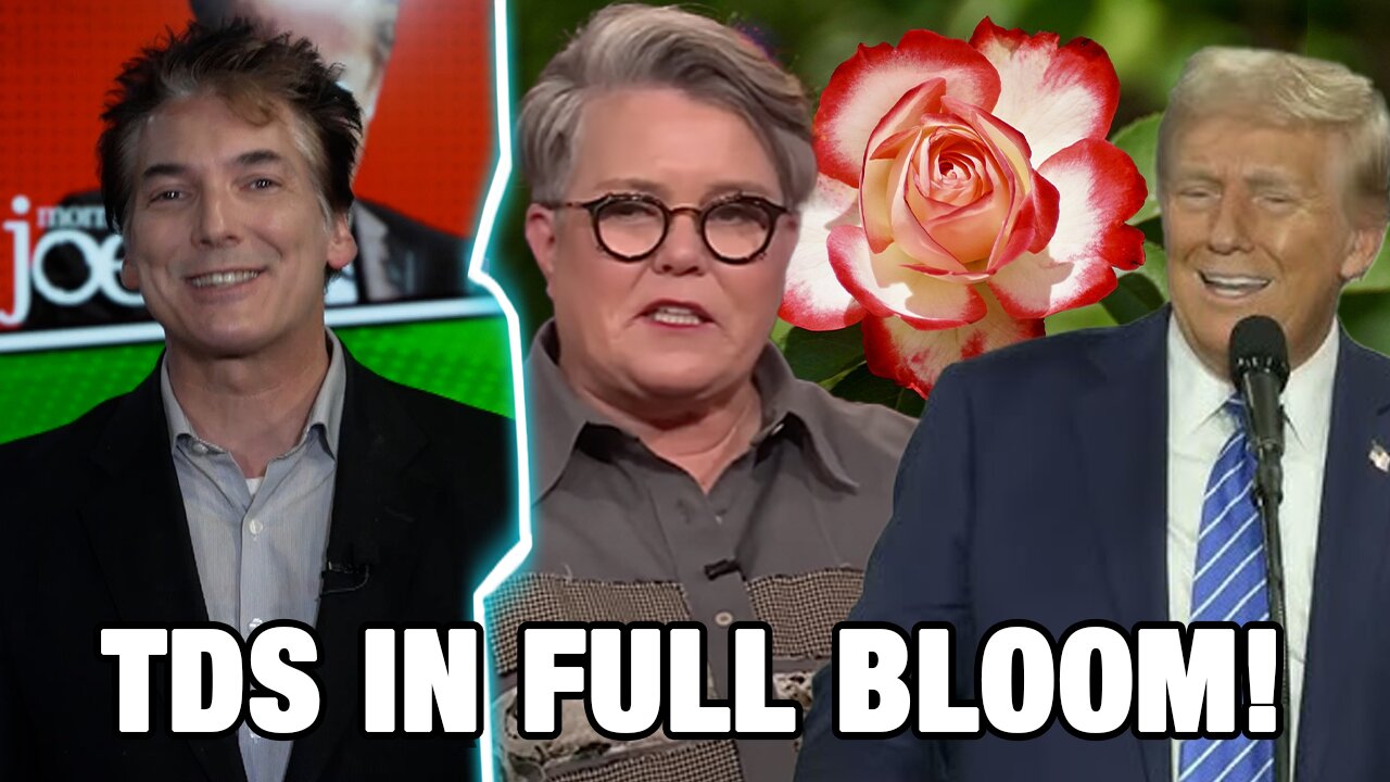 Media Thinks Everything is Rosie – As Long As You Hate Trump! | Wacky MOLE