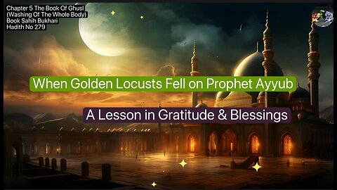 ❤️When Golden Locusts Fell on Prophet Ayyub A Lesson in Gratitude & Blessings,#Hadith279,#Volume5❤️