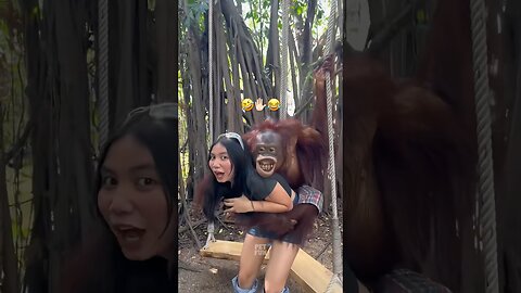 Animals Funny Compilation #funny #animals #pets #shorts