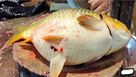 Amazing Fish cutting skill 12| you must watch