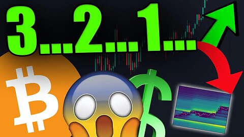 21 Nov 2024 - THIS BITCOIN PUMP IS NOT WHAT IT SEEMS! THESE WHALES FOOLED 95% OF ALL PEOPLE [This is whats next..]