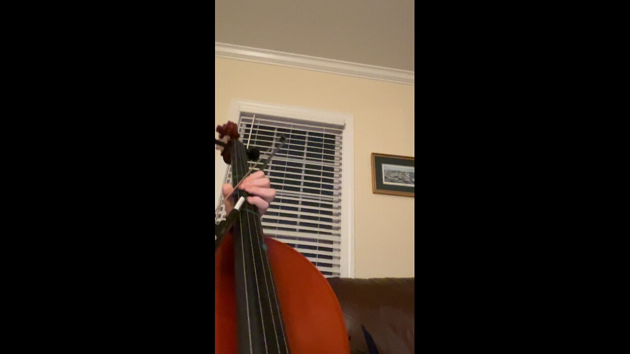 Beginner 1st year cello how do I sound?