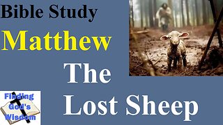 Bible Study - Matthew: The Lost Sheep