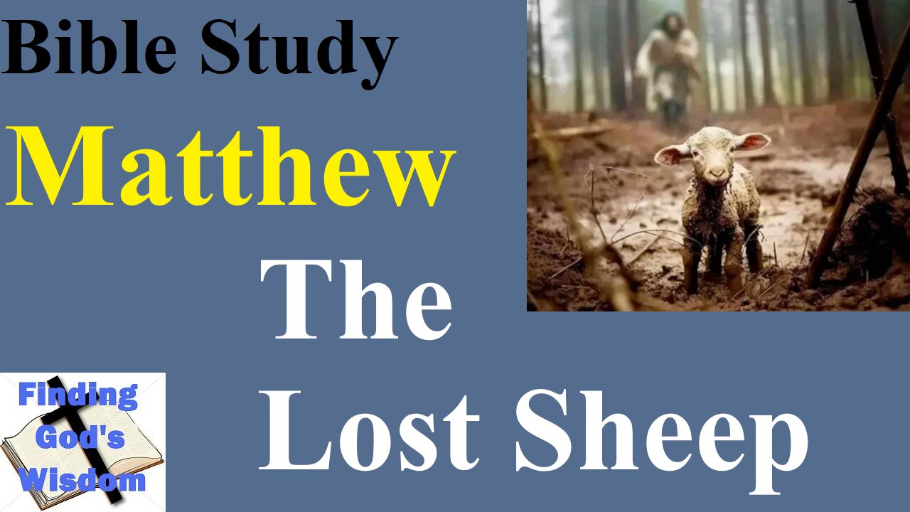 Bible Study - Matthew: The Lost Sheep