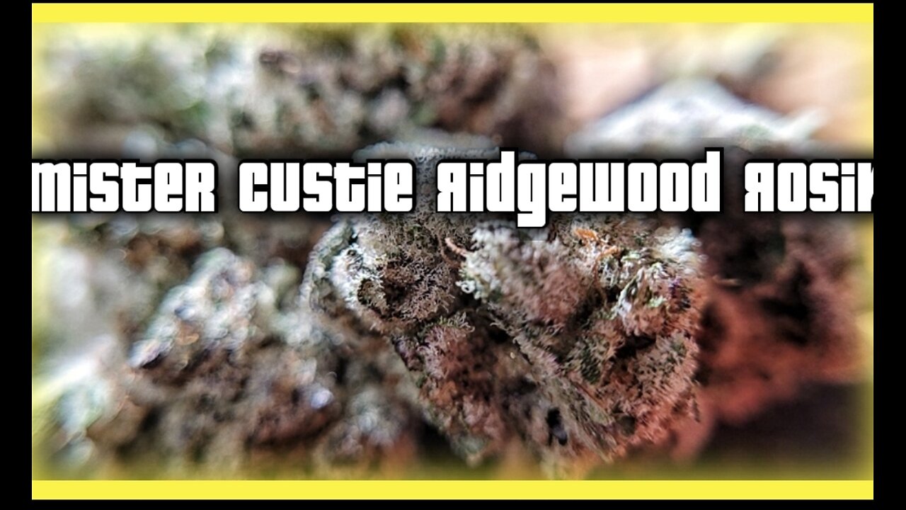 Mister Custie Ridgewood Rosin