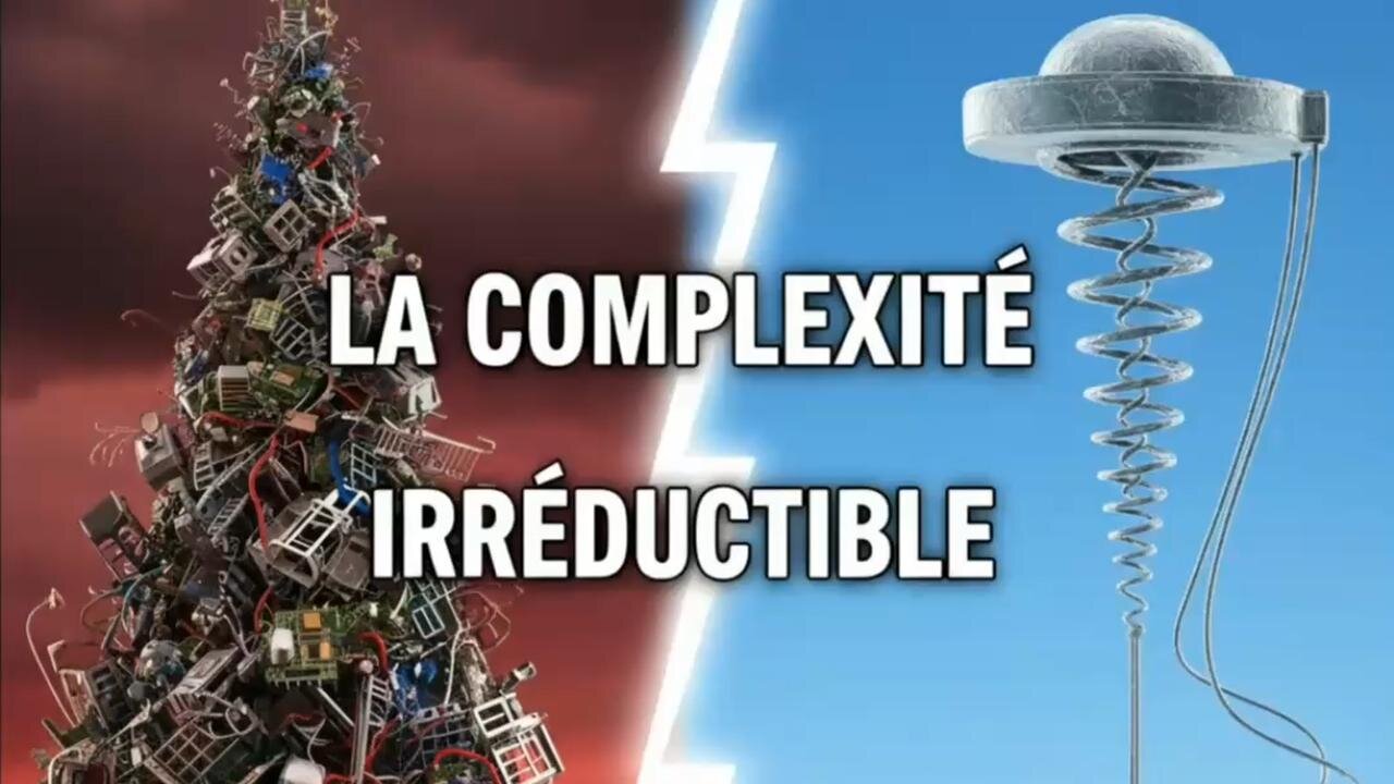 L’évolution face aux lois de la thermodynamique 🇫🇷