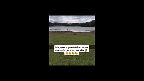 Ese es un cocodrilo bien goloso / That’s a very greedy crocodile.🤭😆