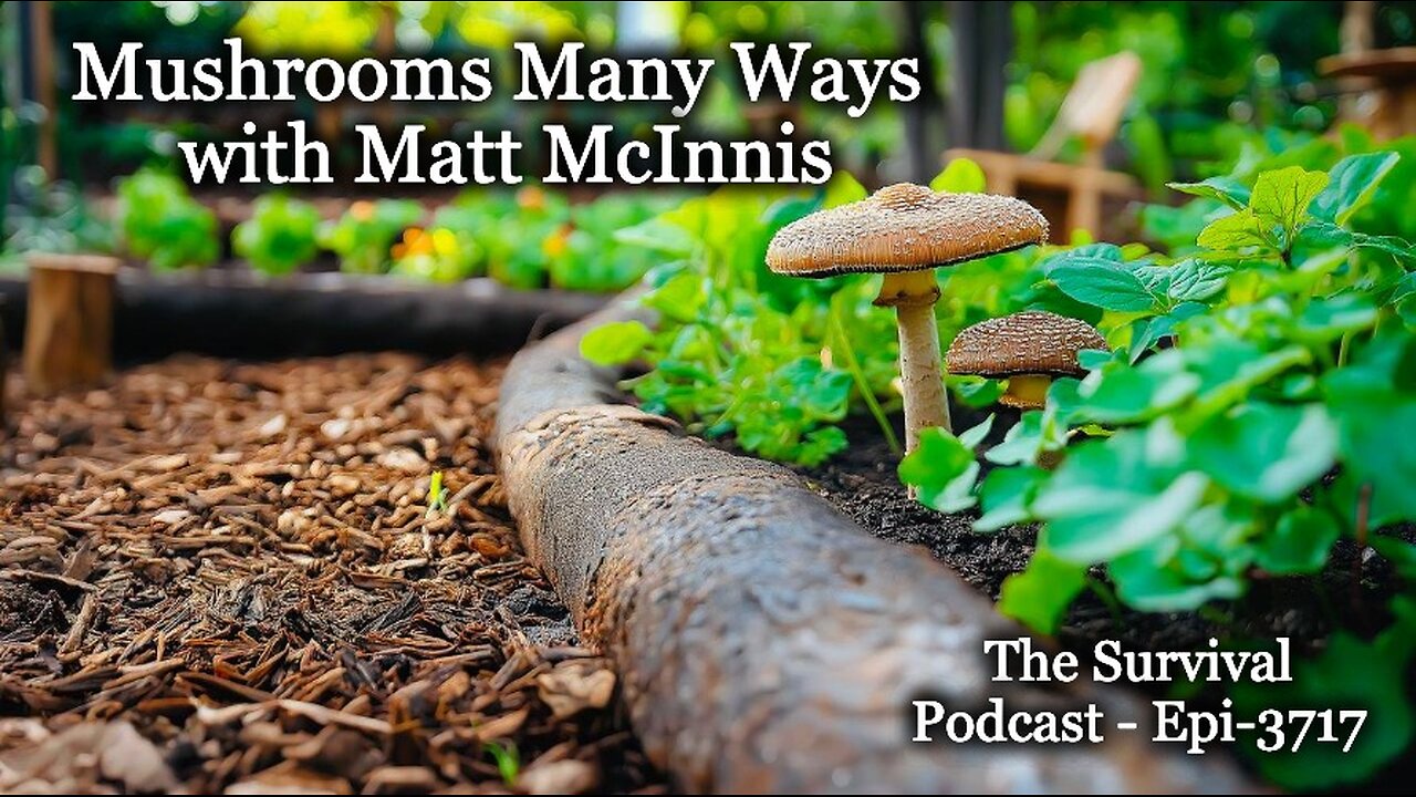 Mushrooms Many Way with Matt McInnis - Epi-3717