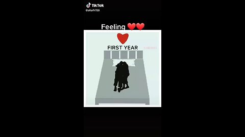 Feelings