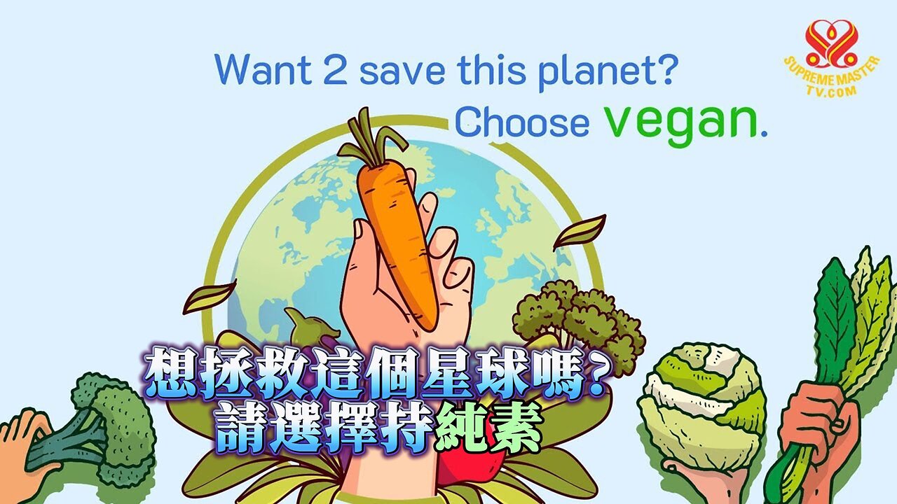 A Vegan World is Possible: Individuals and Communities Must Take Action