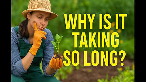 Why Your Manifestation Is Taking So Long | The Truth About Letting Go & Law of Attraction Timing