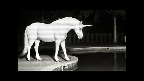 CCTV Camera: Caught Unicorn and Animals In The Pool. P2