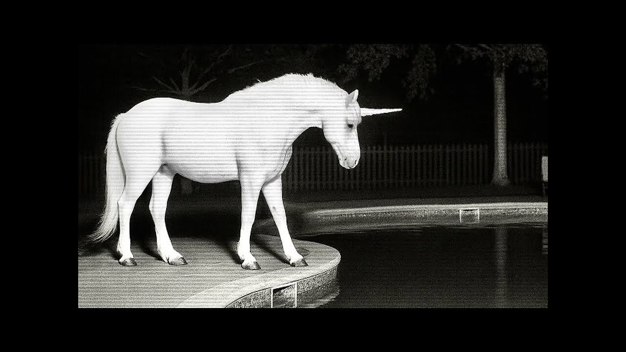CCTV Camera: Caught Unicorn and Animals In The Pool. P2