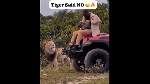 Tiger Said NO 😂🐅🔥 | Must Watch