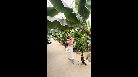 Find beauty in the little things 🌿💫 #asmr #aesthetic #relax #vibes #satisfying #viral #reels
