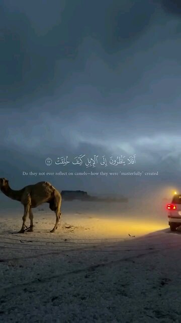 we need to search for the right way