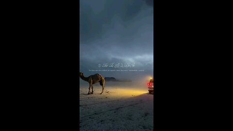 we need to search for the right way