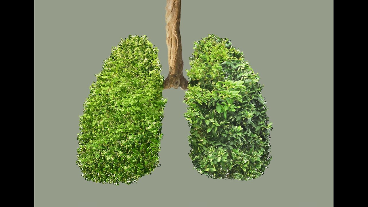 FORM comes BEFORE LIFE