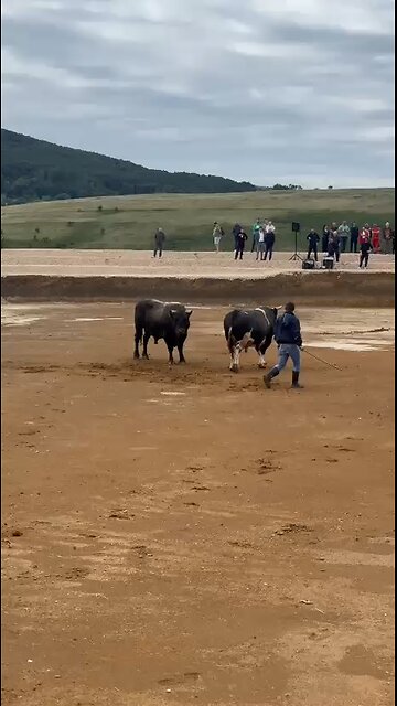 Manifestacija "Kočićevi dani" otvorenje arene