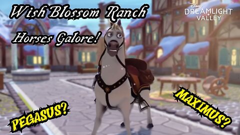 wish blossom ranch new horses!