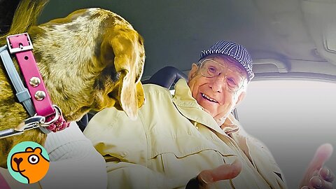 Grandpa Didn’t Want This Dog. Until She Stole His Heart | Cuddle Buddies