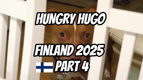 pt4 FINLAND ADVENTURE 2025 #finland #funny #comedy #travel #dog #dogs #pitbull #scadanavia