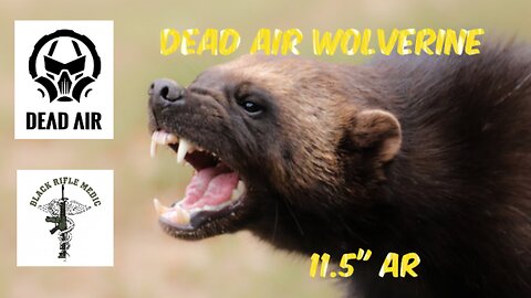 Dead Air Wolverine on my 11.5" 5.56