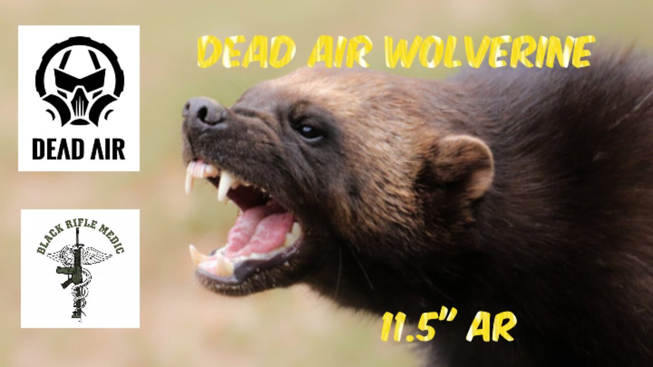Dead Air Wolverine on my 11.5" 5.56