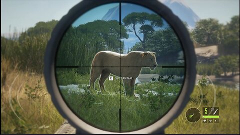 Who's Hunting Who?? Scene 1