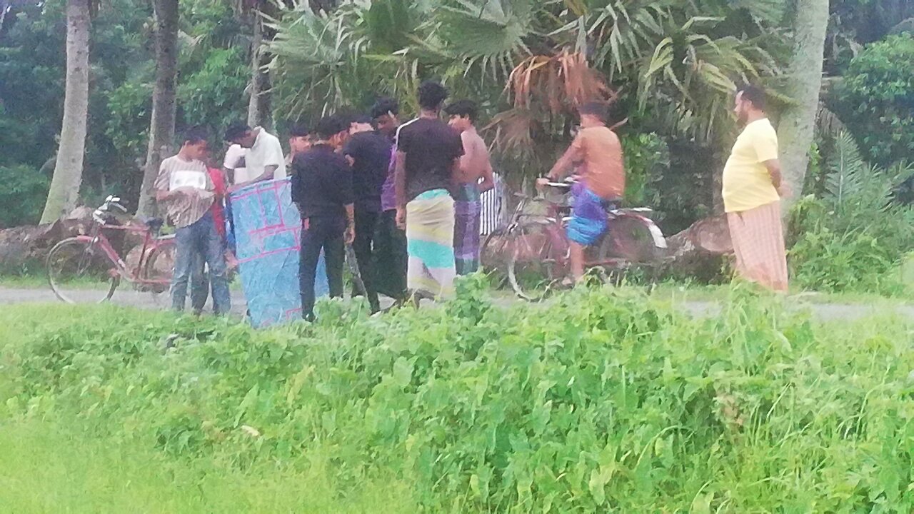 "Flying Kites – Colors in the Sky!"