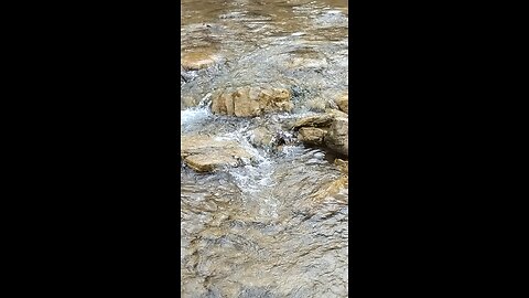 Short Creek WV