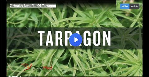 "Exploring Tarragon: A Look at Its Seven Health Benefits"