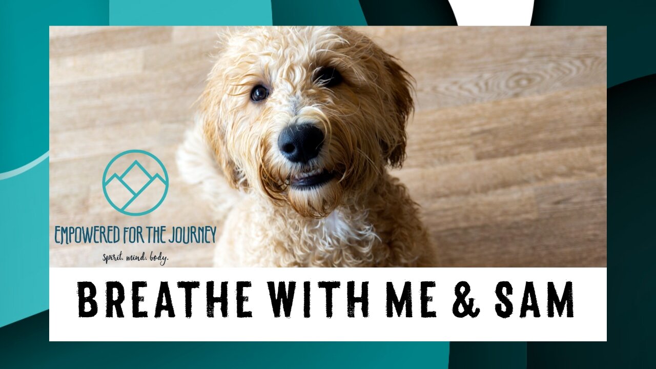 Breathe With Me (& Sam)