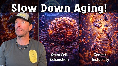 The 12 Hallmarks of Aging, & How to Slow them Down Today!