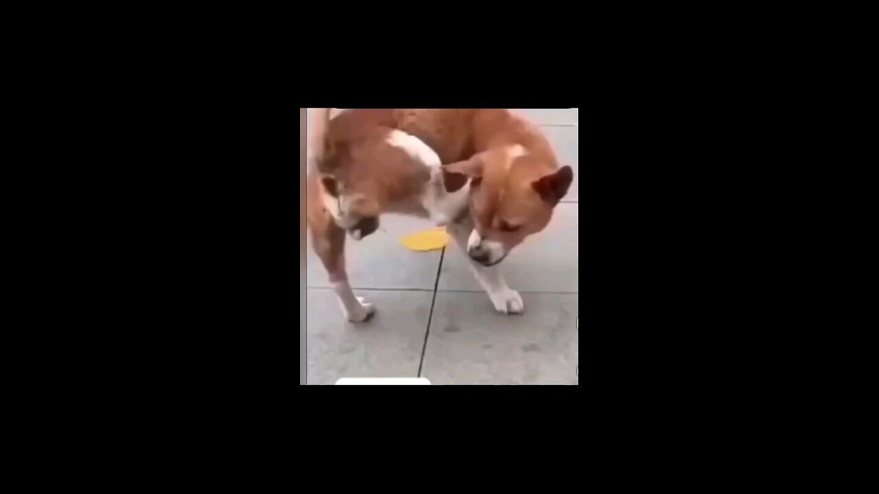 nzjdkvnc
