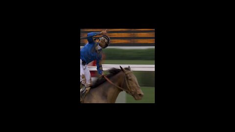 How about a horse named "Sovereignty" winning the Kentucky Derby over a horse named "Journalism?"