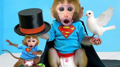 Bonmonkeykiki dresses up as a magician and the unexpected ending in Rumbel 2025 vedios💥