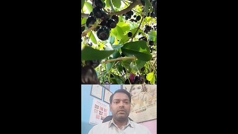 शुगर ।