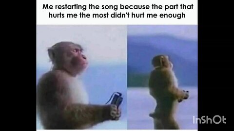 Me restarting the song because the part that hurts me the most didn't hurt me enough