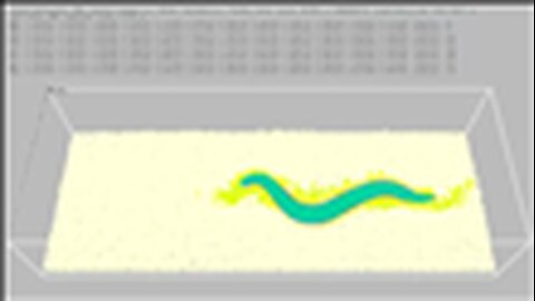 "Unveiling Reality: Could Worm Studies Prove We're Living in a Computer Simulation?"
